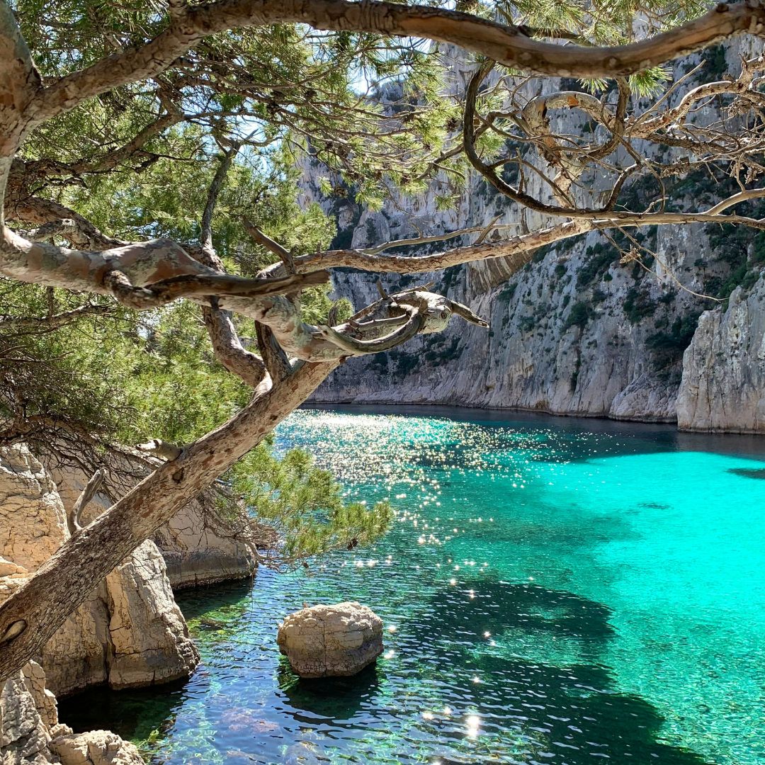 Turquoise blue waters in a small rocky cove with a tree branch in the foreground.