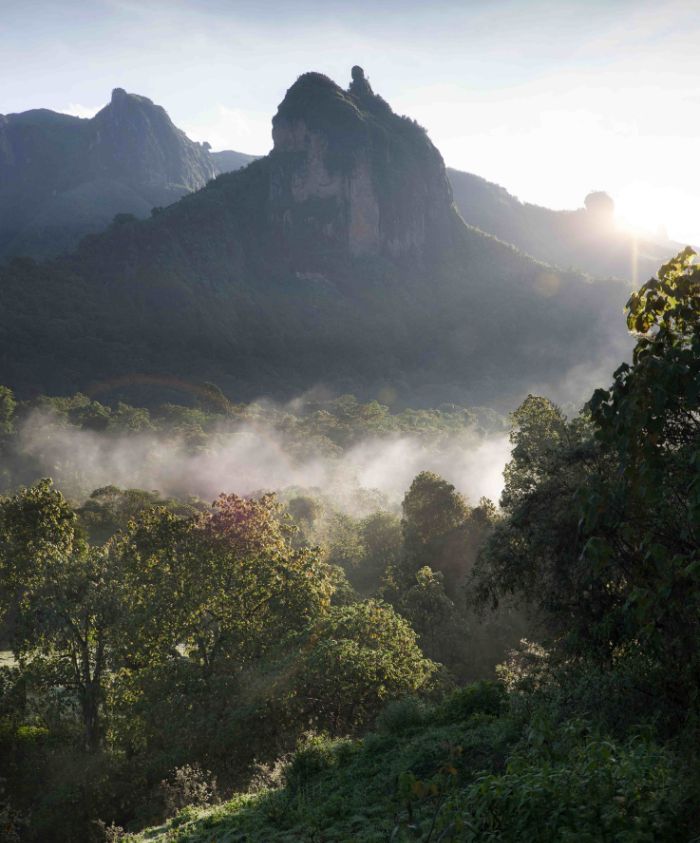 A sunlit landscape shows a rugged mountain peak rising above a lush green valley filled with mist. The early morning light casts a warm glow on the trees, creating a serene and tranquil atmosphere.