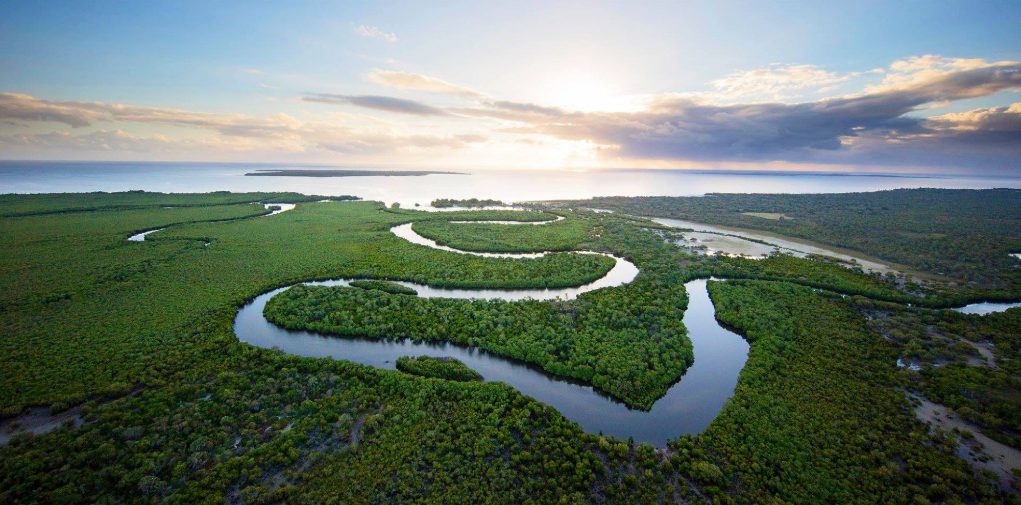Aerial view of a winding river meandering through lush green mangroves, with the ocean visible on the horizon under a partly cloudy sky.