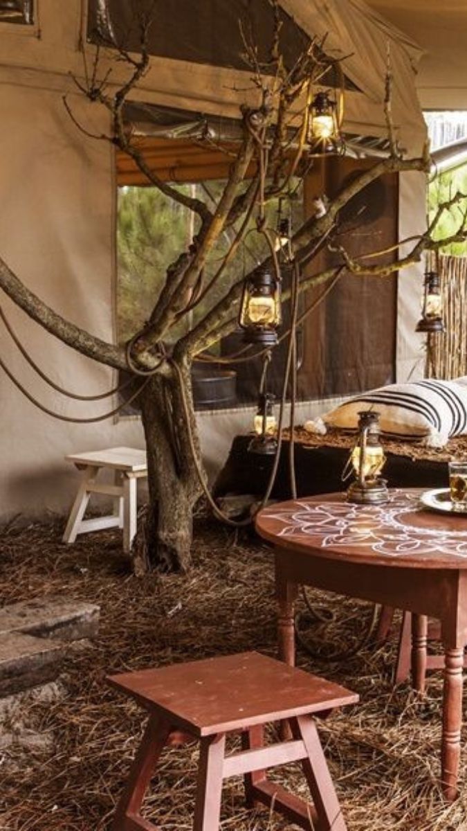 A rustic outdoor setting featuring a bare tree adorned with lanterns. A round wooden table with a decorative design sits nearby, accompanied by a small stool. The ground is covered with pine needles, and the scene is warm and inviting.