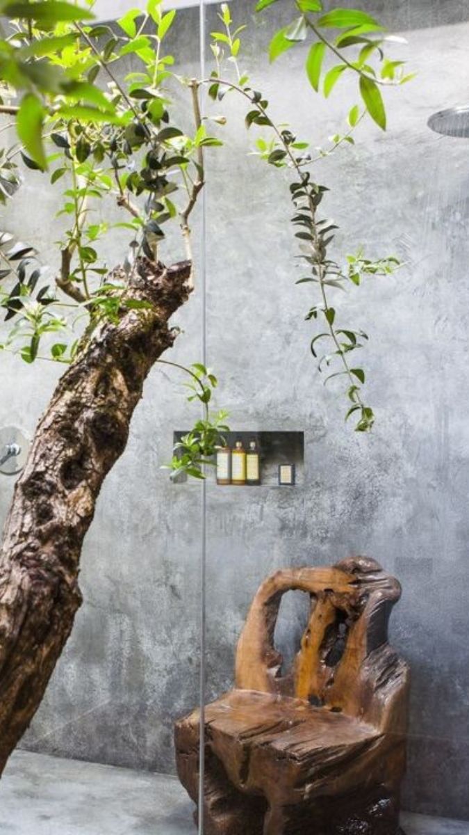 A unique bathroom featuring a rustic wooden chair shaped from a tree trunk, a glass partition, and a green plant growing nearby, adding a natural touch to the modern concrete walls.