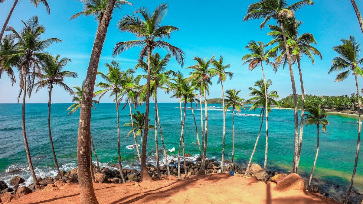A tropical beach scene featuring tall palm trees swaying over turquoise waters, with gentle waves lapping against rocky shores. The sky is clear and blue, enhancing the vibrant coastal atmosphere.