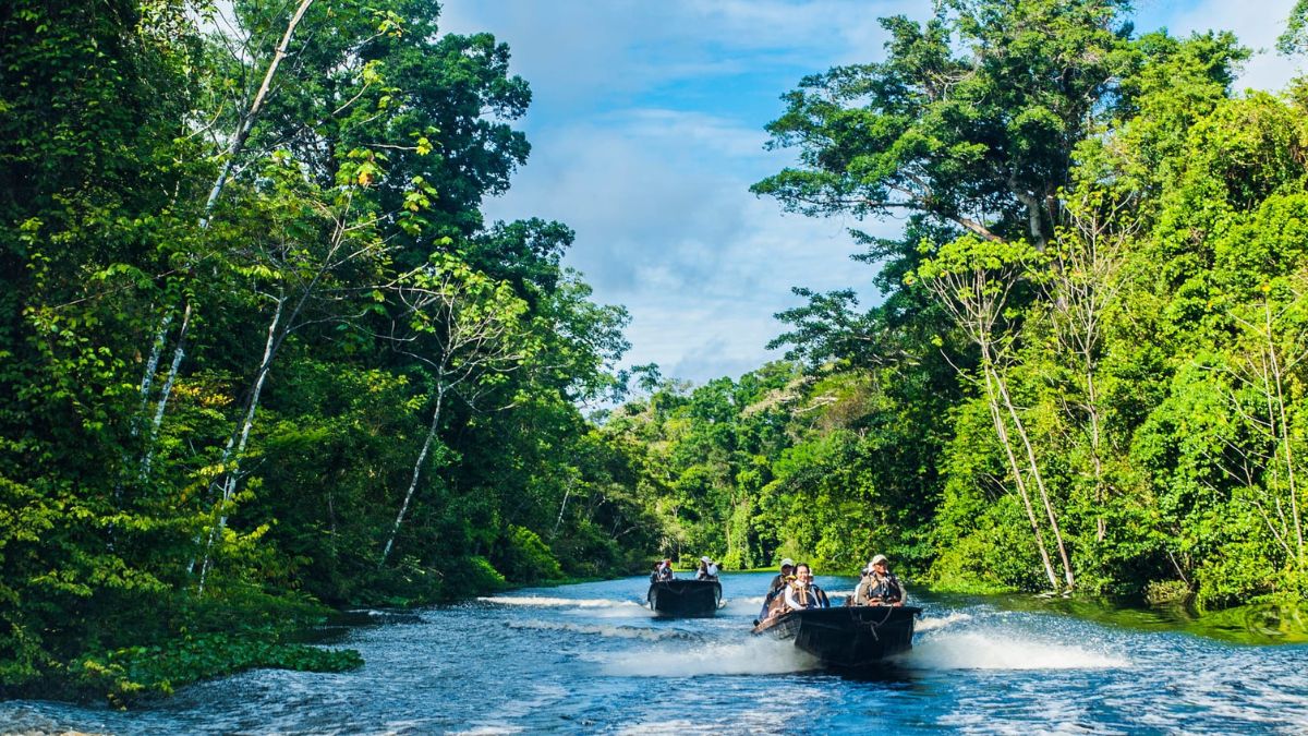 Three boats navigate a serene river surrounded by lush green jungle. Sunlight filters through the trees, illuminating the vibrant foliage.