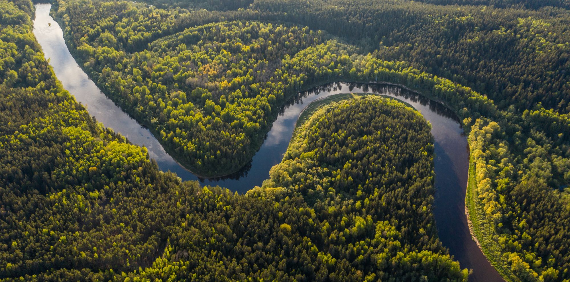 Aerial view of a winding river meandering through lush green forests, creating a heart-shaped formation surrounded by vibrant foliage.