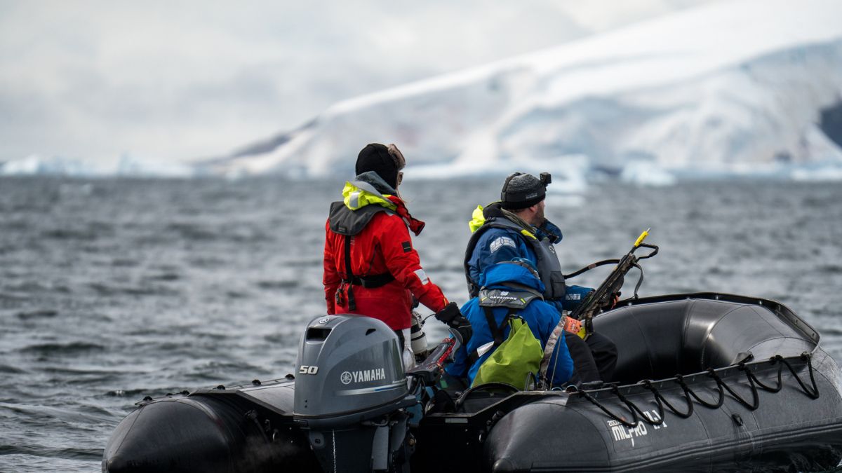 Tagging the Orca Whale Antarctica - Conservation adventure in Antarctica