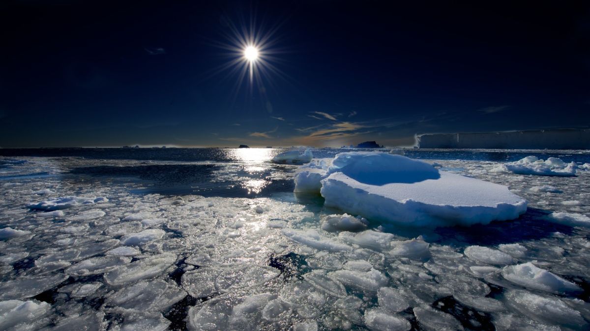 A sunlit icy seascape with floating icebergs and glistening reflections on the water's surface. The scene is serene, with a clear blue sky and distant landmasses.