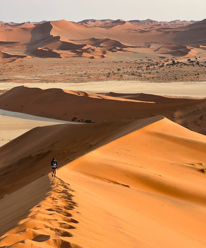 A person walks along the crest of a sand dune in a vast desert landscape, with rolling orange dunes and a sparse horizon under a clear sky.