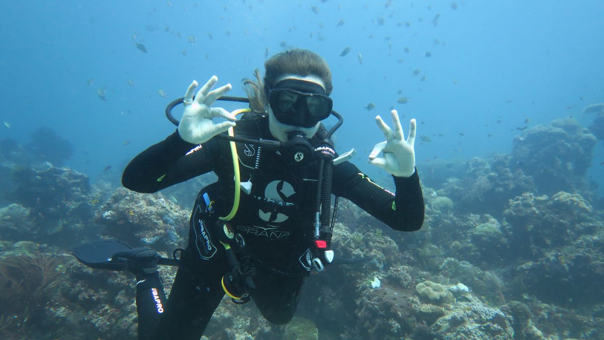 A diver wearing a wetsuit and scuba gear gives an "OK" hand signal underwater, surrounded by colorful coral and fish.