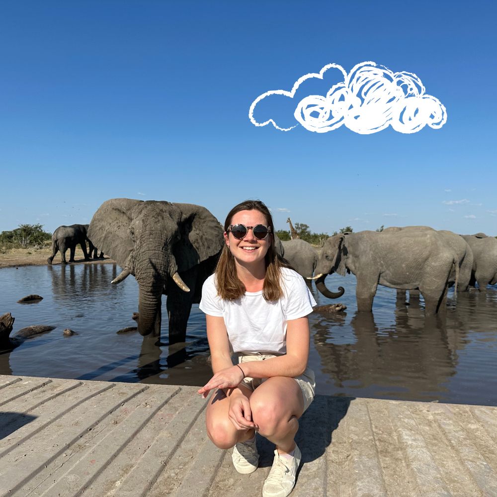 A woman in a white t-shirt and sunglasses smiles while crouching by a riverbank, surrounded by elephants walking in the water under a clear blue sky with clouds.