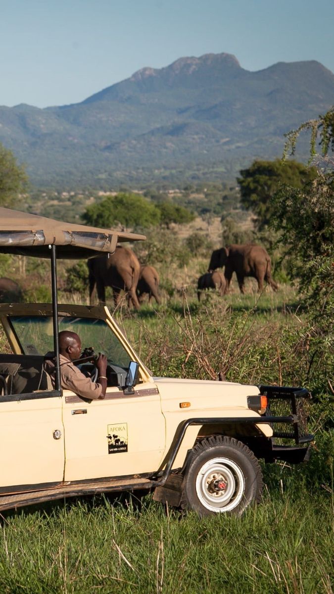 A safari guide watches a herd of elephants in the distance while sitting in a yellow off-road vehicle, with mountains in the background and lush greenery surrounding them.