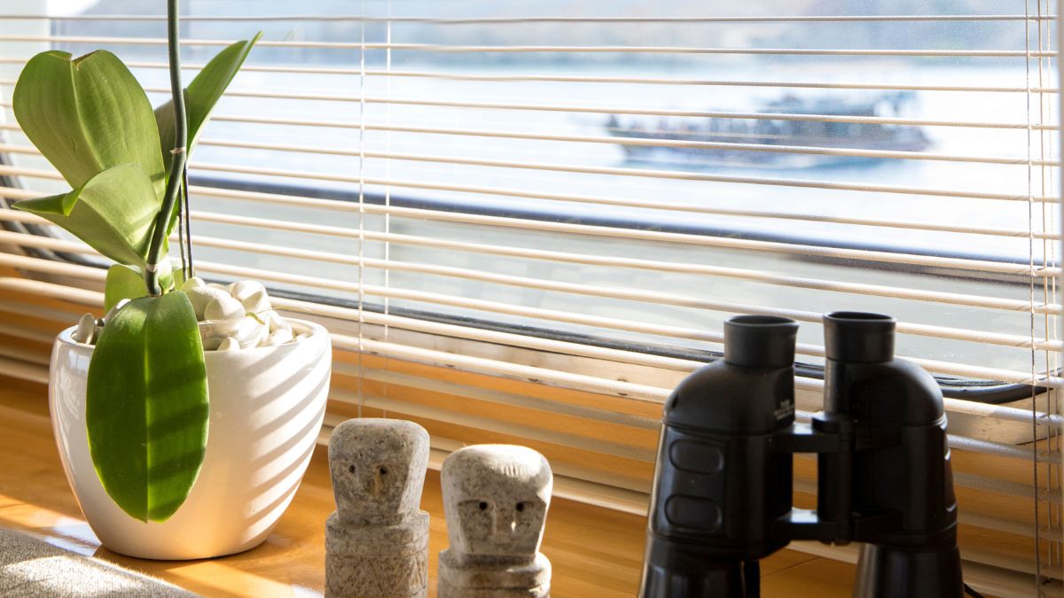 A potted orchid sits beside binoculars and two stone figures on a wooden surface in front of a window with blinds. A blurred view of a boat is visible outside.