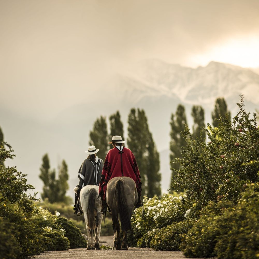 Two horseback riders wearing traditional ponchos and hats navigate a path surrounded by lush greenery and blooming flowers, with mountains shrouded in mist in the background.
