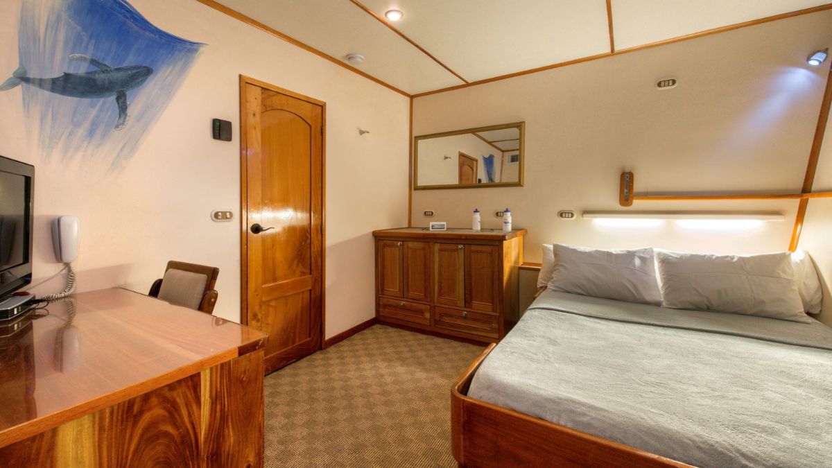 A cozy cabin interior featuring a double bed, a wooden desk with a chair, and a chest of drawers. A wall-mounted mirror reflects the warm wooden accents. Artwork of a whale adorns one wall. Soft lighting creates a welcoming atmosphere.