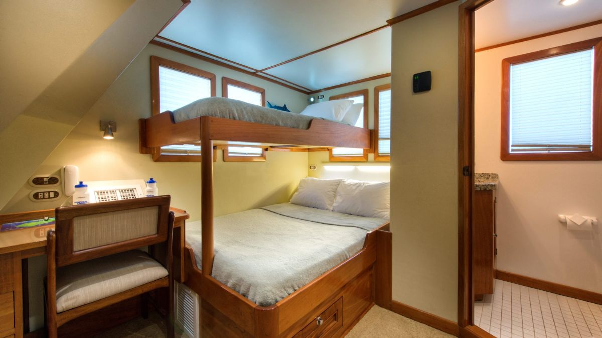 Cozy cabin featuring a bunk bed with a lower double bed and an upper twin bed. Natural light filters through windows, illuminating the wooden furnishings and a small workspace with a chair. Modern amenities are visible, adding a touch of comfort.