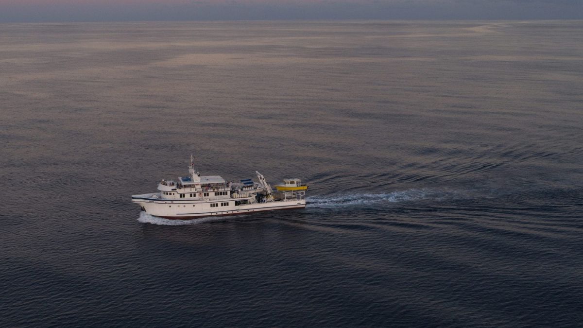 A white and blue research vessel navigates through calm ocean waters, leaving a wake as it moves forward under a soft twilight sky.