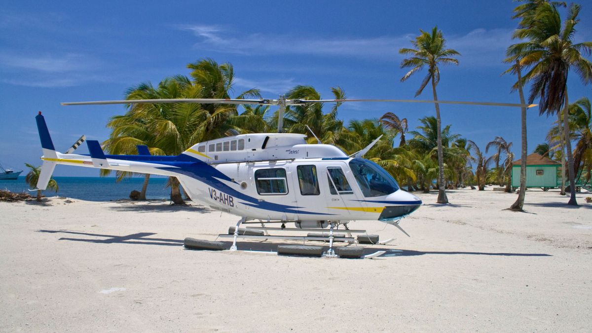 A helicopter parked on a sandy beach with palm trees swaying in the background, near a clear blue ocean under a bright sky.