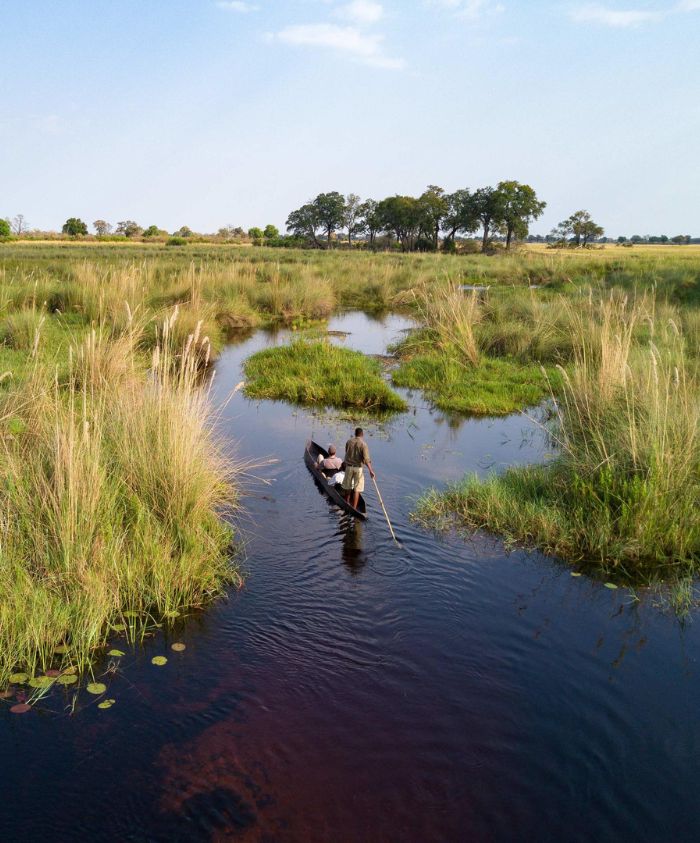 luxury family travel experience of a delta safari with a guide on the okavango delta in botswana