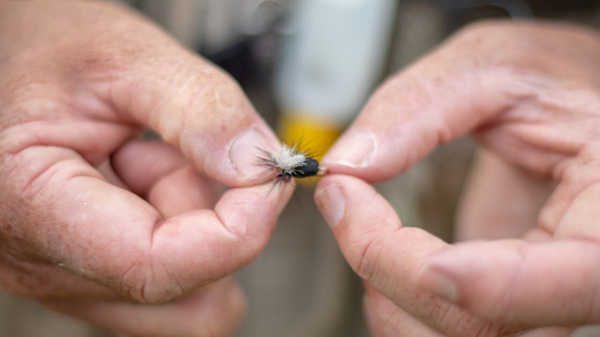 A person holding a fishing lure between their fingers, showcasing its detailed features like feathers and a shiny black head, with a blurred background.