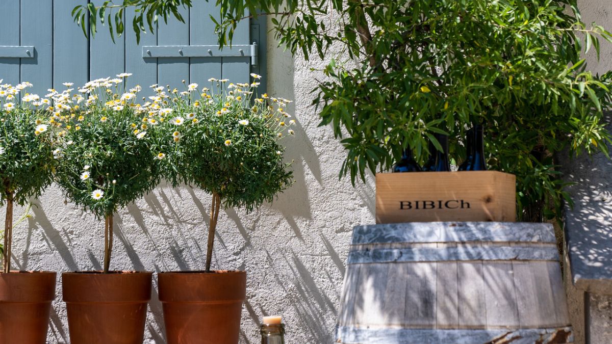 Potted flowers with white blooms beside a wooden crate labeled "BIBICh," next to a gray stone barrel against a light-colored wall.