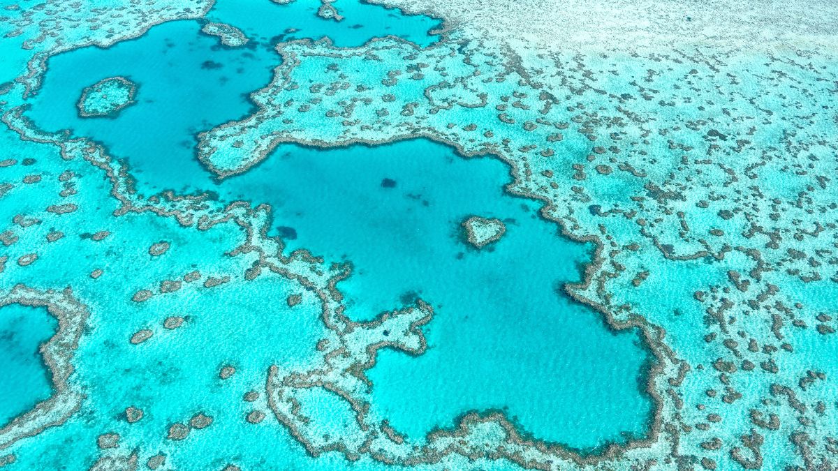 Aerial view of vibrant turquoise waters with intricate coral formations scattered throughout, creating a beautiful and serene marine landscape.