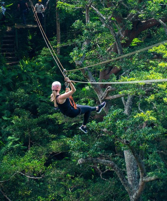 A person zipping through a lush green forest on a zip line, wearing a helmet and harness.