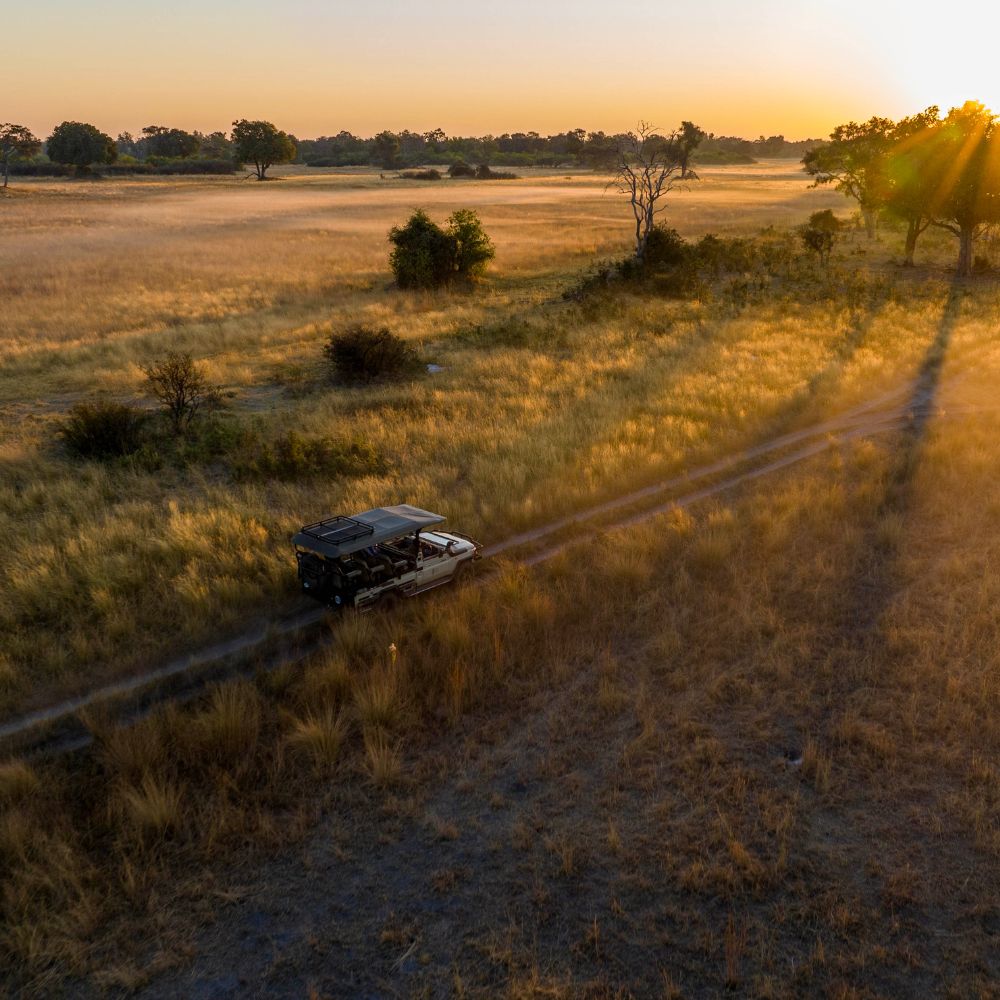 Aerial view of a vehicle driving along a dirt track in a golden, sunlit savannah filled with tall grass and a few scattered trees. Sunbeams filter through the scene, creating a tranquil atmosphere.