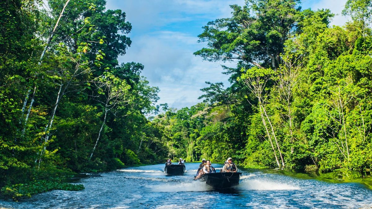 Four boats with people navigate a shimmering river surrounded by lush green forest and tropical trees under a bright blue sky.