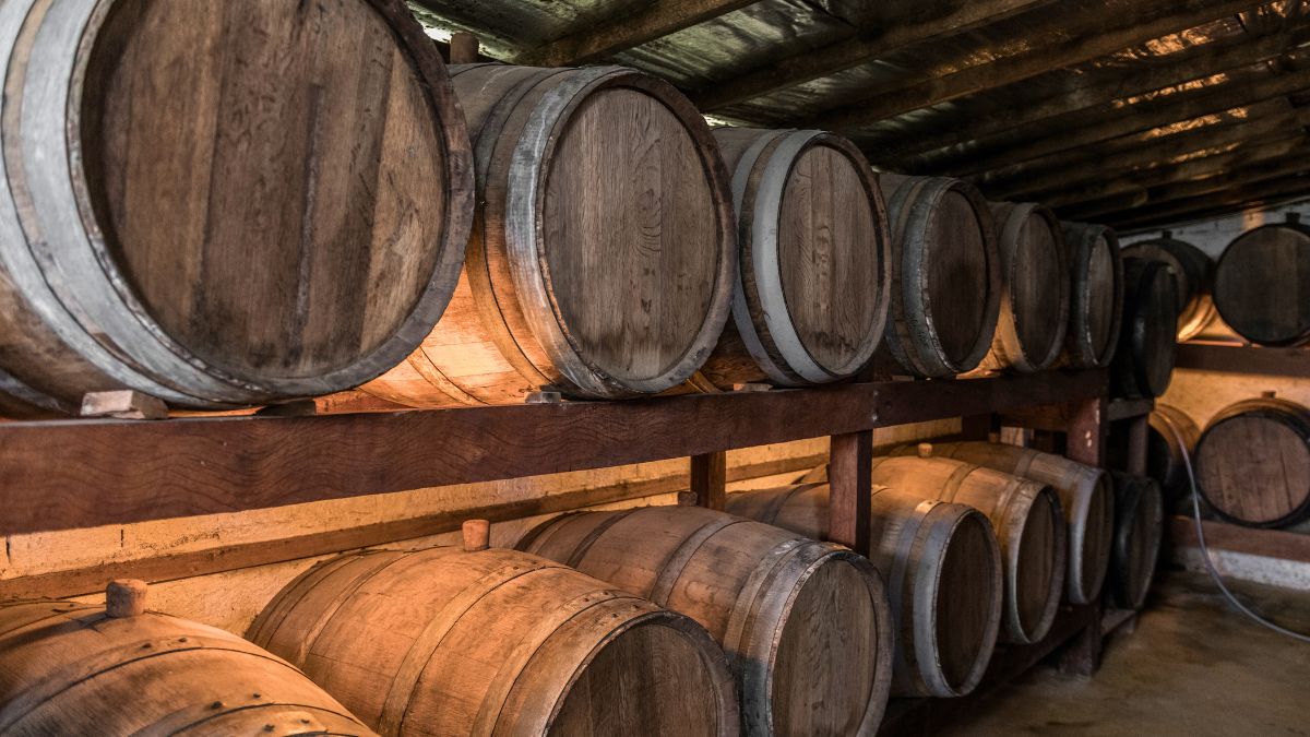 Wooden wine barrels neatly arranged on shelves in a dimly lit cellar. The barrels exhibit a rustic finish, with some light illuminating their curved surfaces.