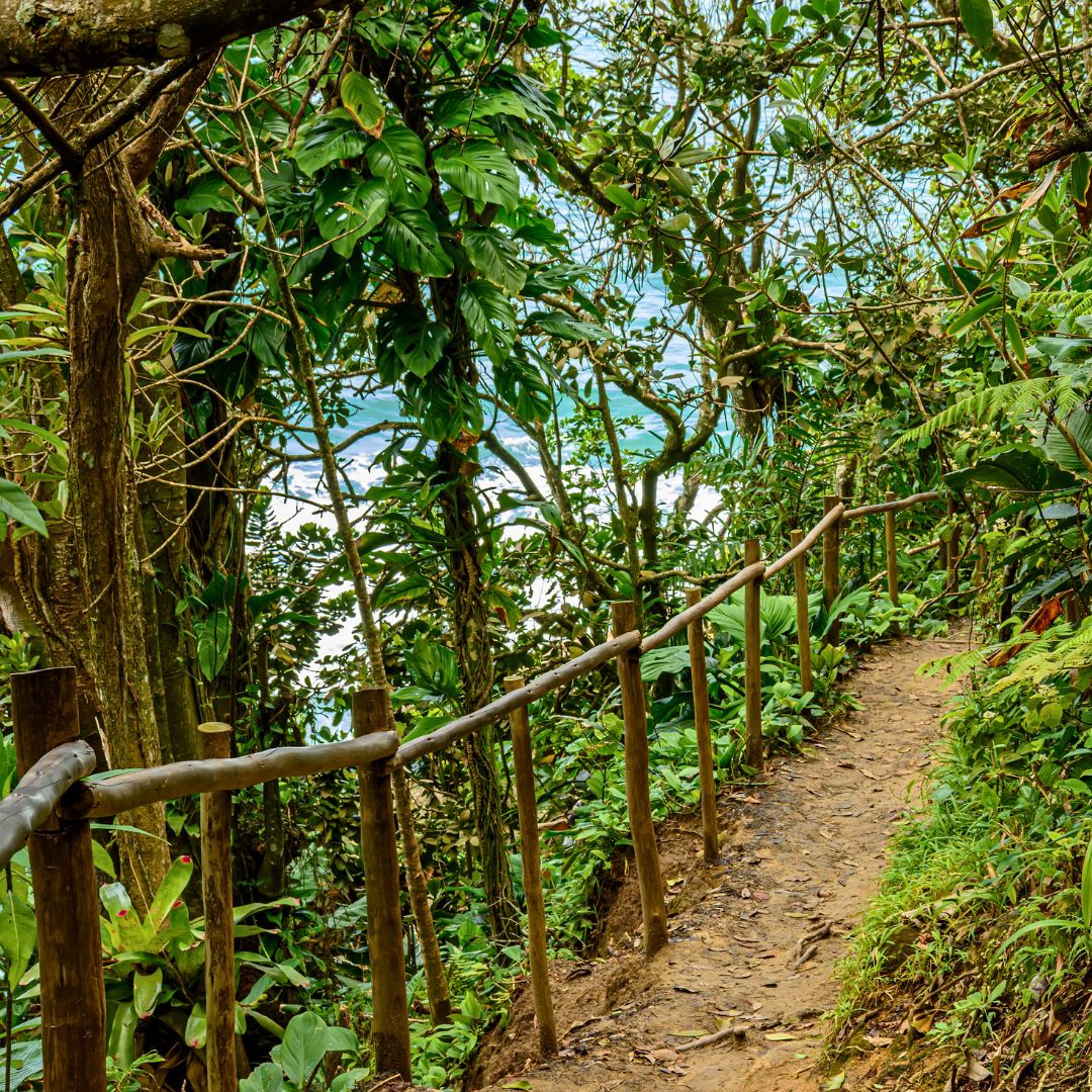 A narrow winding trail bordered by wooden railing, surrounded by lush green foliage and trees, leading towards a glimpse of the ocean in the distance.