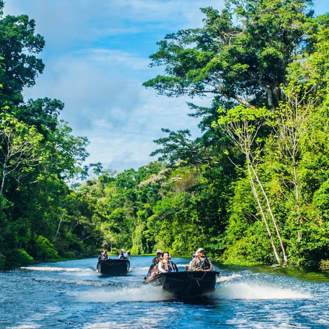 Three boats navigate a serene river surrounded by lush green trees and vegetation under a bright blue sky.