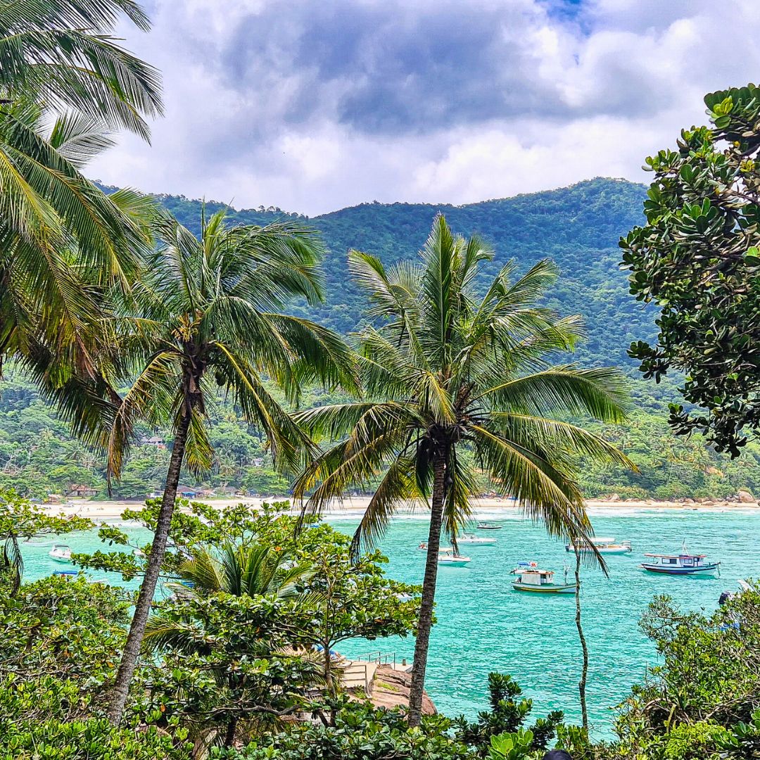 Lush tropical landscape with palm trees overlooking a serene turquoise bay dotted with small boats, surrounded by green hills under a partly cloudy sky.