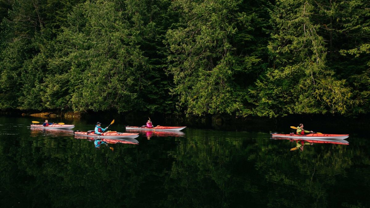 Four kayakers in colorful kayaks paddle quietly on a calm, reflective body of water surrounded by lush green trees.