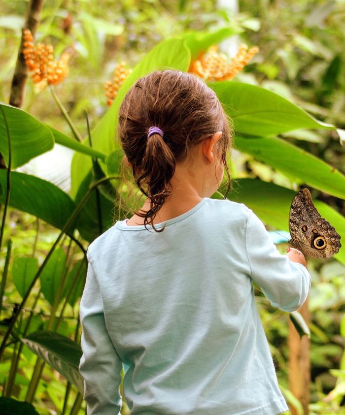 A young child in a light blue shirt stands in a lush, green garden, gazing at a large butterfly perched on her arm amidst vibrant foliage and flowers.