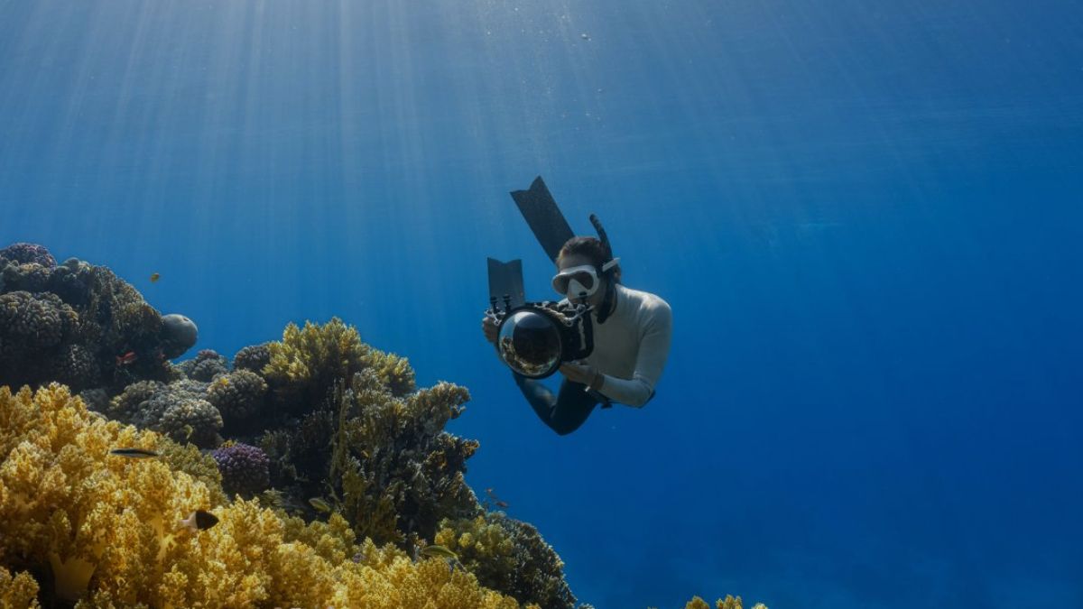An underwater photographer with a large camera housing dives near a vibrant coral reef as sunlight beams through the water.