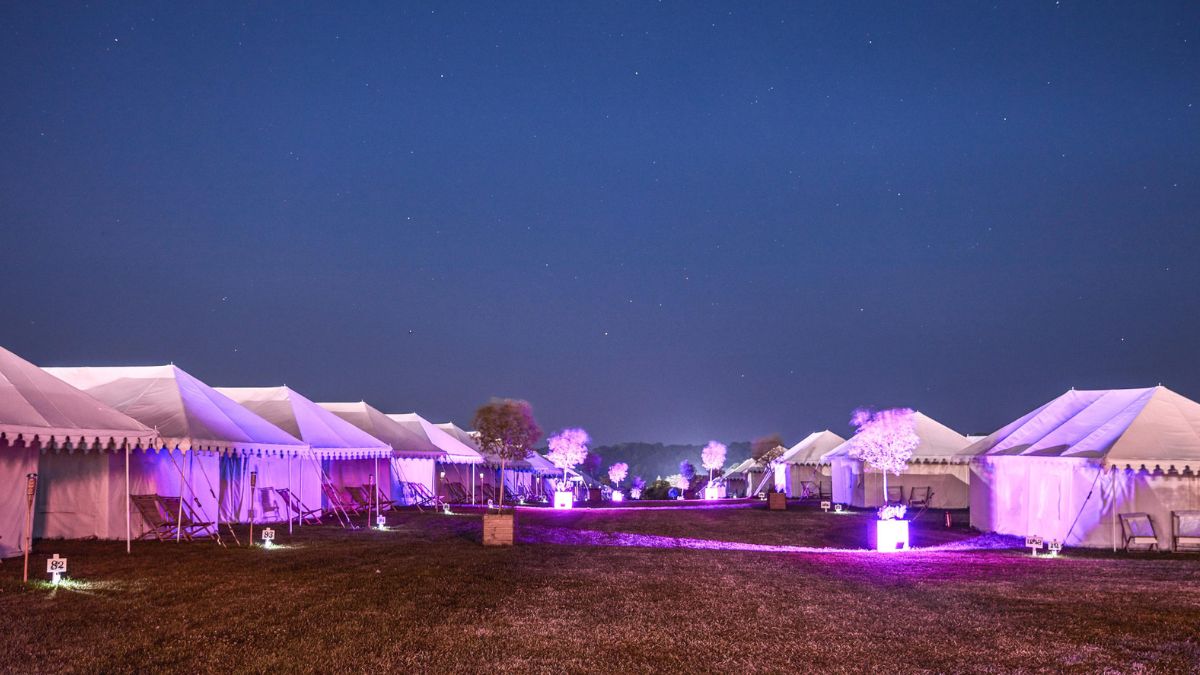 A row of large white tents illuminated by purple lights, set in a grassy field under a starry night sky.