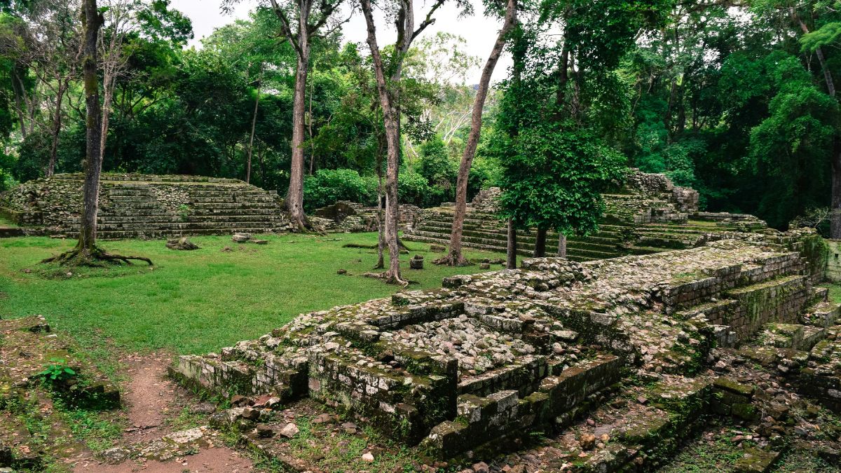Ancient stone ruins nestled in a lush green forest, surrounded by trees and overgrown vegetation. Moss-covered structures and terraced platforms are visible, suggesting the remnants of an archaeological site.