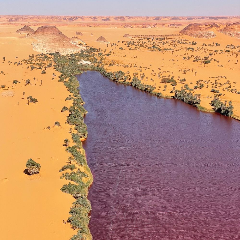A winding river flows through a vast desert landscape, with golden sand dunes and sparse vegetation on either side. In the distance, rocky hills rise against a clear blue sky, creating a striking contrast between the water and the arid environment.
