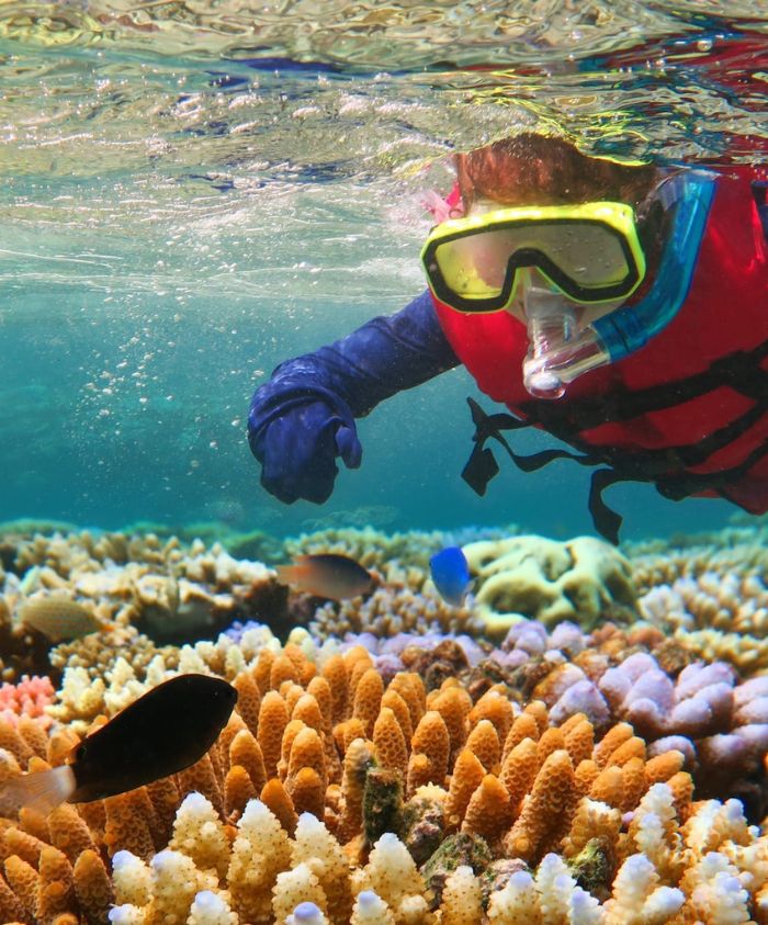 A snorkeler in a red life vest and goggles explores a vibrant coral reef underwater, surrounded by colorful fish and diverse marine life. Sunlight filters down through the water, illuminating the coral formations below.