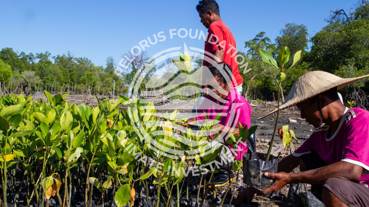 Group of individuals planting young mangrove saplings in a coastal area, surrounded by trees under a clear blue sky. A watermark from the Relorus Foundation is prominently displayed in the center.