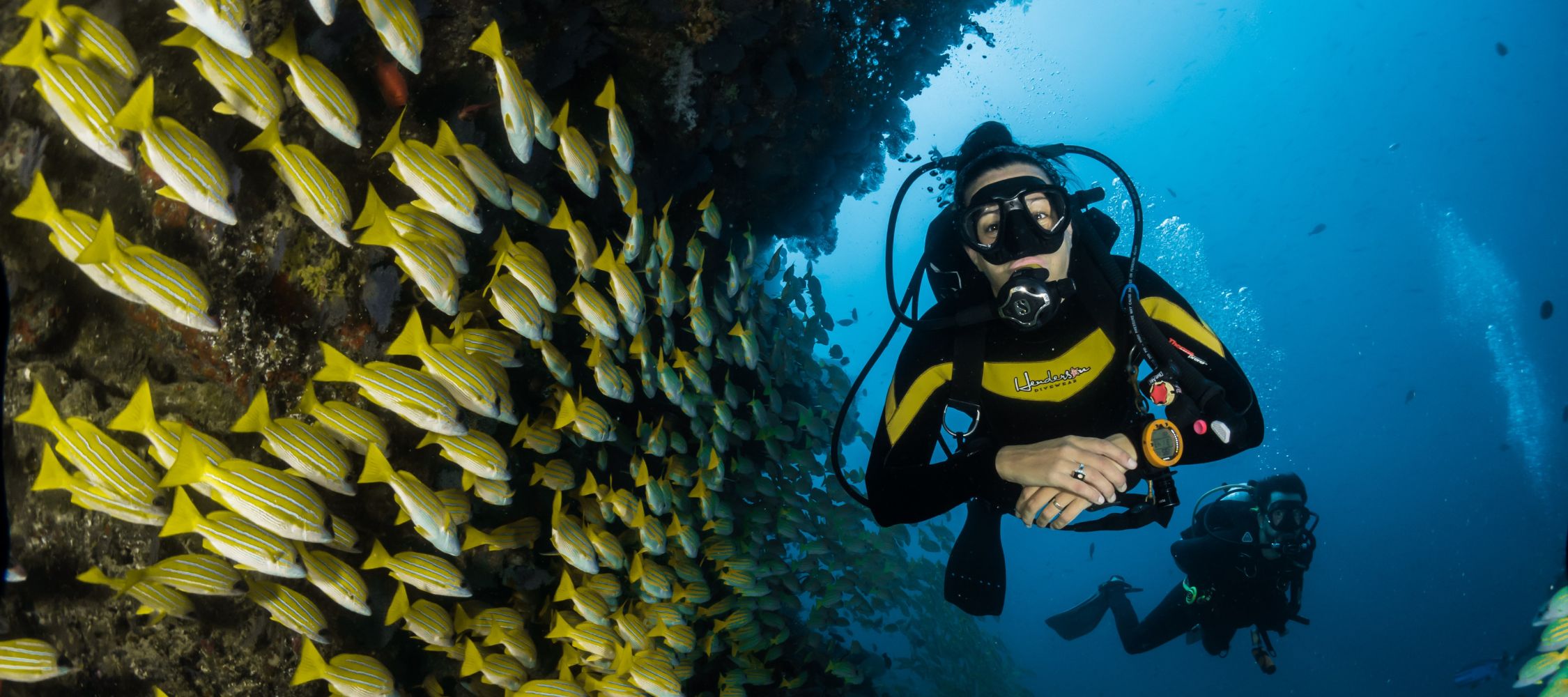 A diver in scuba gear swims among a large school of yellow-striped fish near a coral reef, with another diver visible in the background. The underwater scene is vibrant and clear, showcasing marine life and the ocean's blue hues.