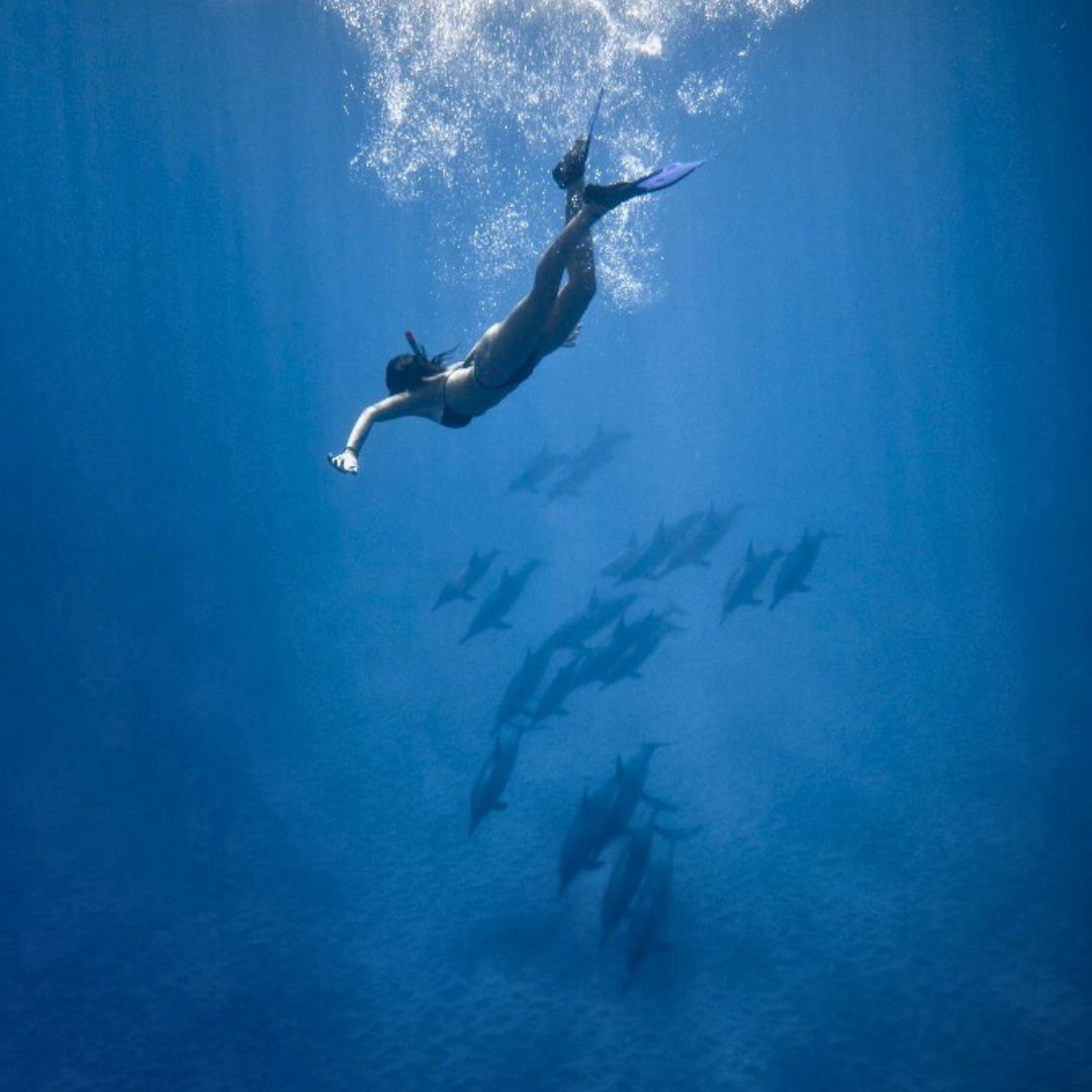 A snorkeler swims gracefully in clear blue water, surrounded by a school of dolphins below. Bubbles rise around them, creating a serene underwater scene.