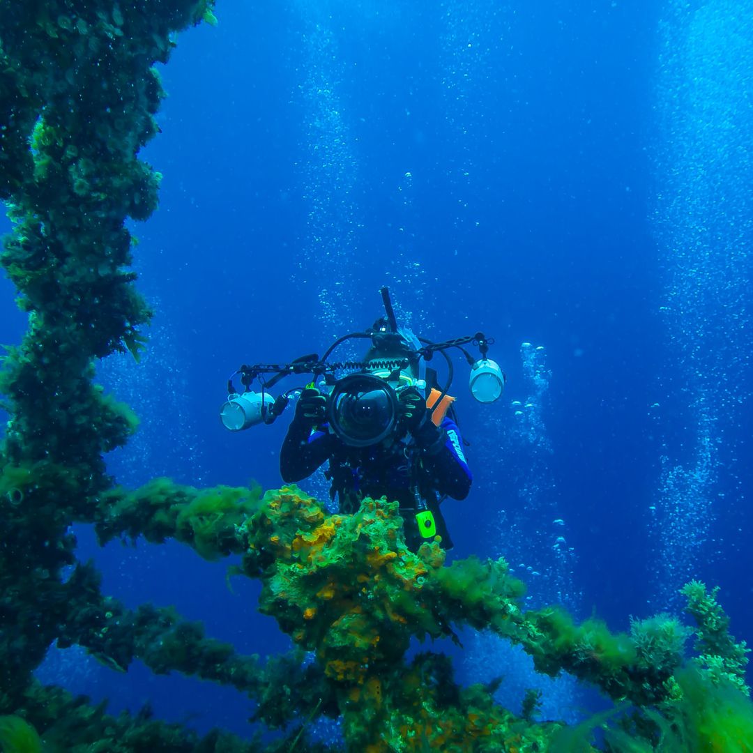 A diver holding a large underwater camera explores a vibrant, algae-covered shipwreck surrounded by blue water and bubbles.