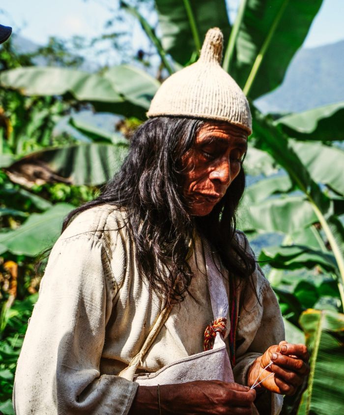 A person wearing a traditional hat and simple clothing stands among lush green plants, looking down thoughtfully.