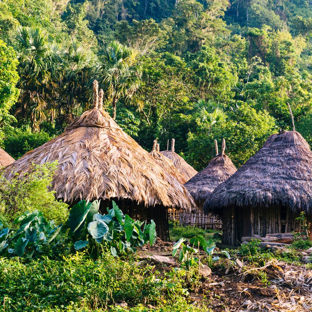 Thatched-roof huts nestled among lush greenery in a tropical landscape. Dense foliage surrounds the huts, creating a natural setting.