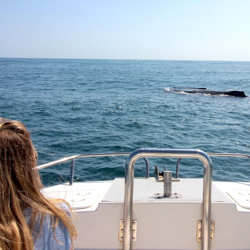 A person with long hair watches as a whale surfaces near a boat in open water. The calm sea reflects the clear blue sky.