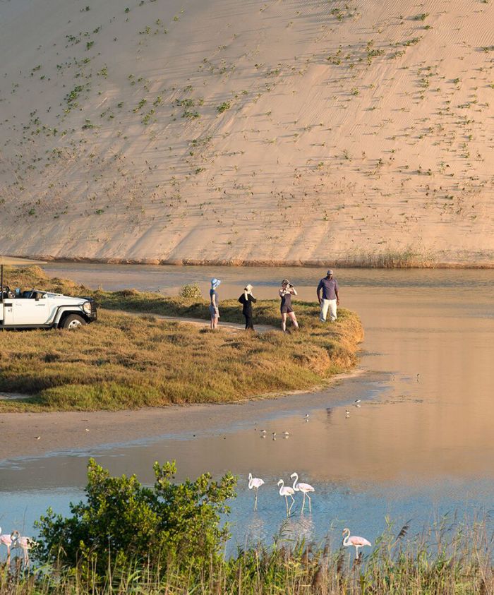 A group of four people stand on a small island in a wetland area, photographing a flock of flamingos in the water. Nearby, a white jeep is parked, and a sandy dune rises in the background, dotted with sparse vegetation.