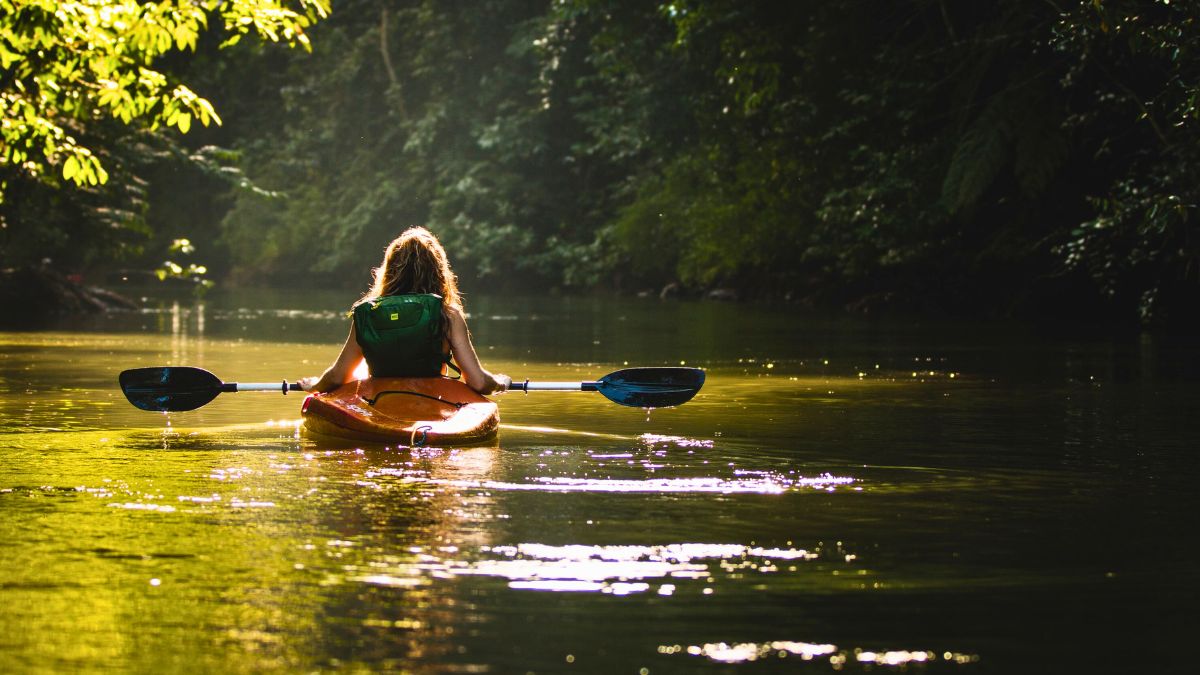 A person in a kayak paddles through a serene, sunlit river surrounded by lush greenery. Soft ripples reflect the sunlight, creating a tranquil atmosphere.