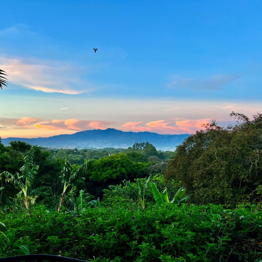 A vibrant sunset over lush green hills, with soft pink and blue skies. Mountains in the distance are silhouetted against the colorful horizon, while trees and foliage in the foreground add to the serene landscape.