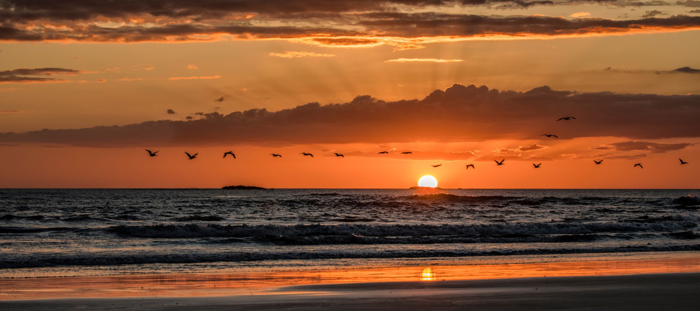 A vibrant sunset over the ocean, with the sun dipping below the horizon. Rays of light radiate from the sun, illuminating the sky with orange and yellow hues. Silhouettes of birds fly across the sky, and gentle waves lap at the sandy beach.