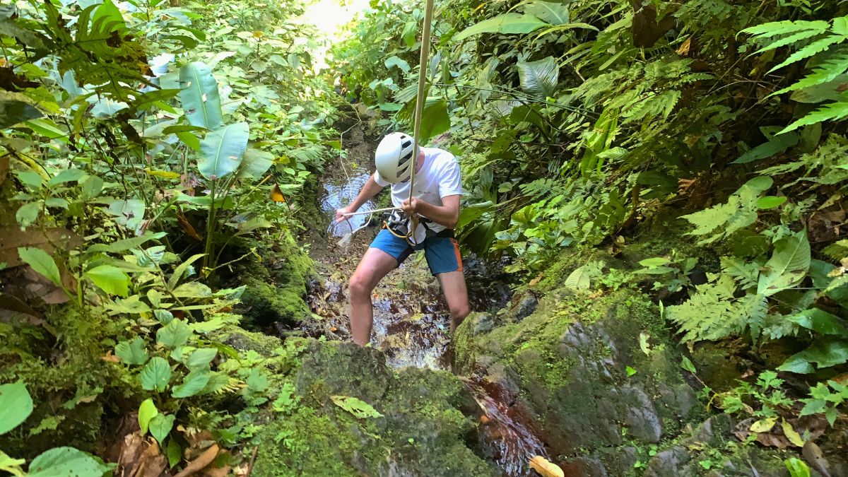 A person wearing a helmet and white T-shirt is navigating a narrow stream in a lush green jungle. They are using a rope for support while surrounded by vibrant foliage and rocks.
